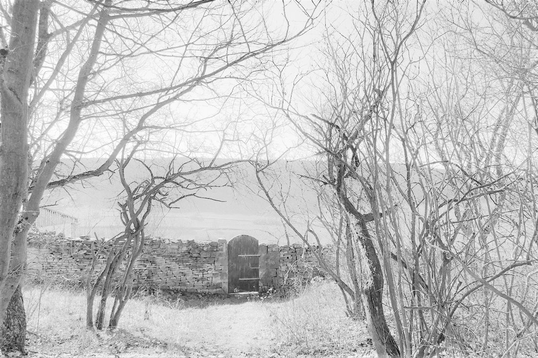 Vineyard House